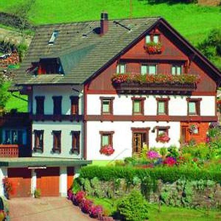 Gaestehaus Heimenberg Bad Rippoldsau-Schapbach ภายนอก รูปภาพ