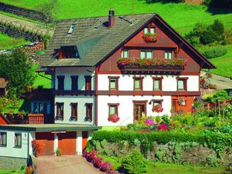 Gaestehaus Heimenberg Bad Rippoldsau-Schapbach ภายนอก รูปภาพ