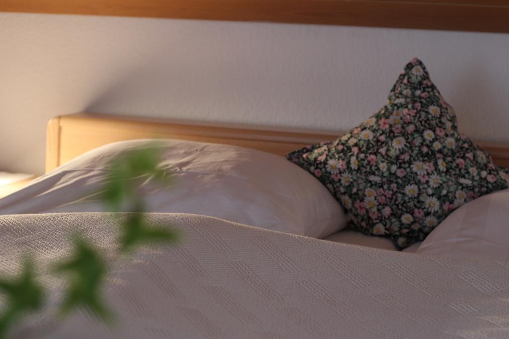 Gaestehaus Heimenberg Bad Rippoldsau-Schapbach ภายนอก รูปภาพ