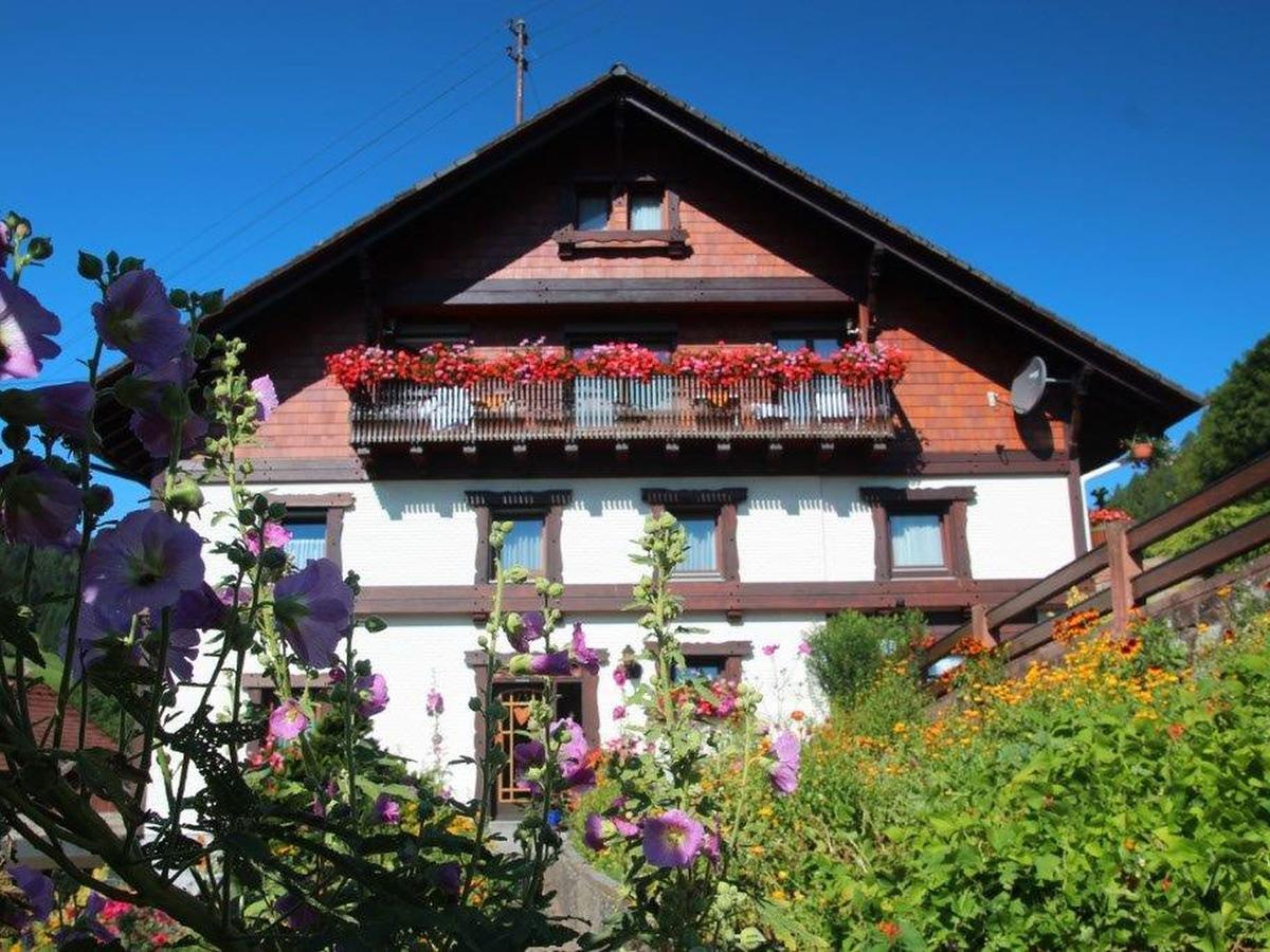 Gaestehaus Heimenberg Bad Rippoldsau-Schapbach ภายนอก รูปภาพ