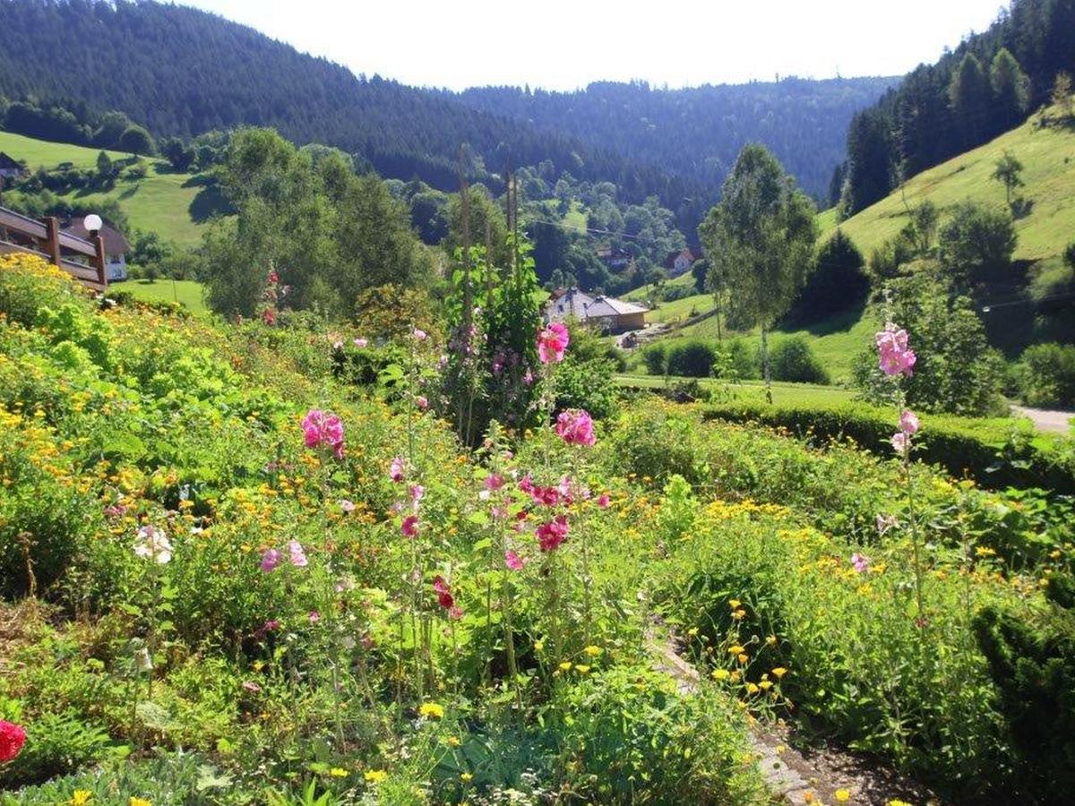 Gaestehaus Heimenberg Bad Rippoldsau-Schapbach ภายนอก รูปภาพ