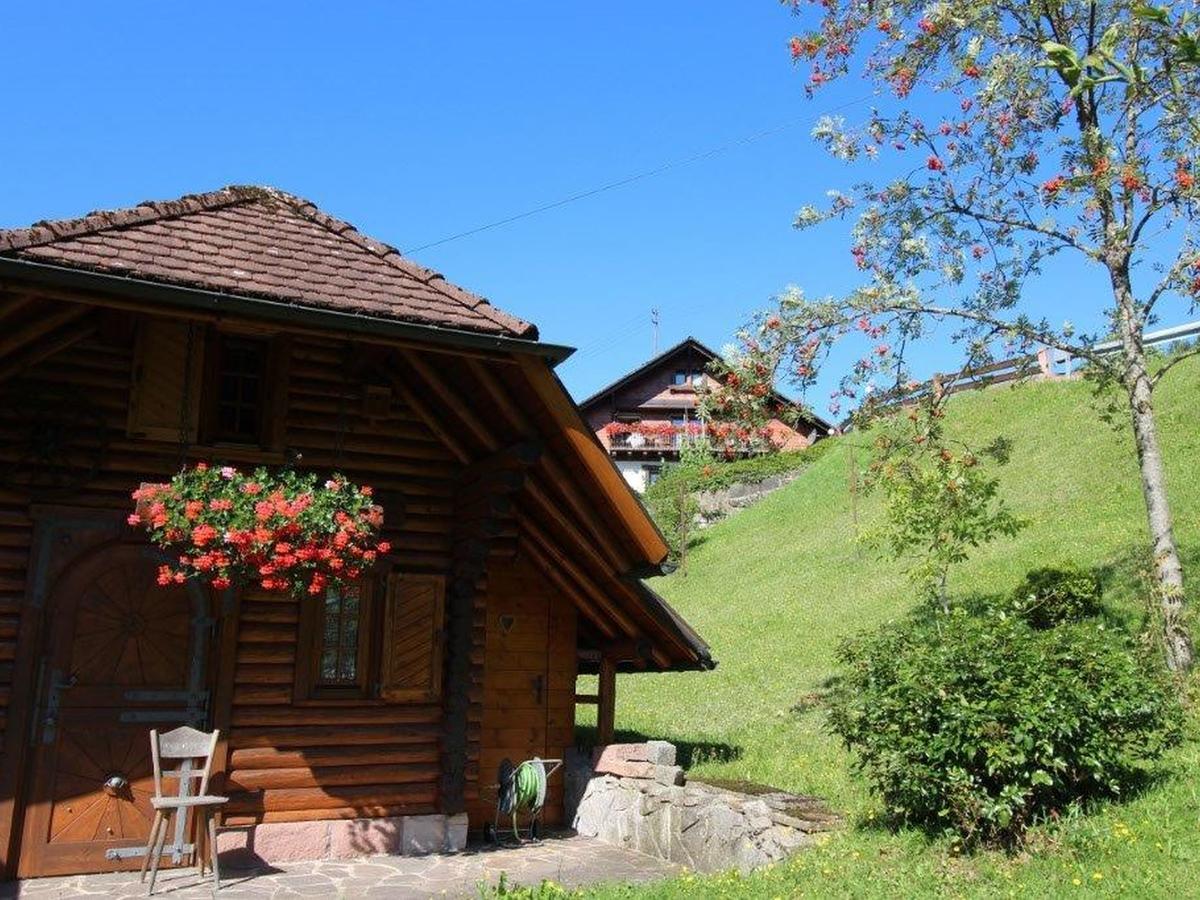 Gaestehaus Heimenberg Bad Rippoldsau-Schapbach ภายนอก รูปภาพ